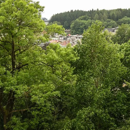 Rose * Marianske Lazne