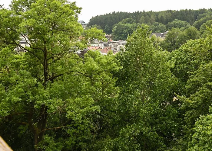 Rose * Marianske Lazne